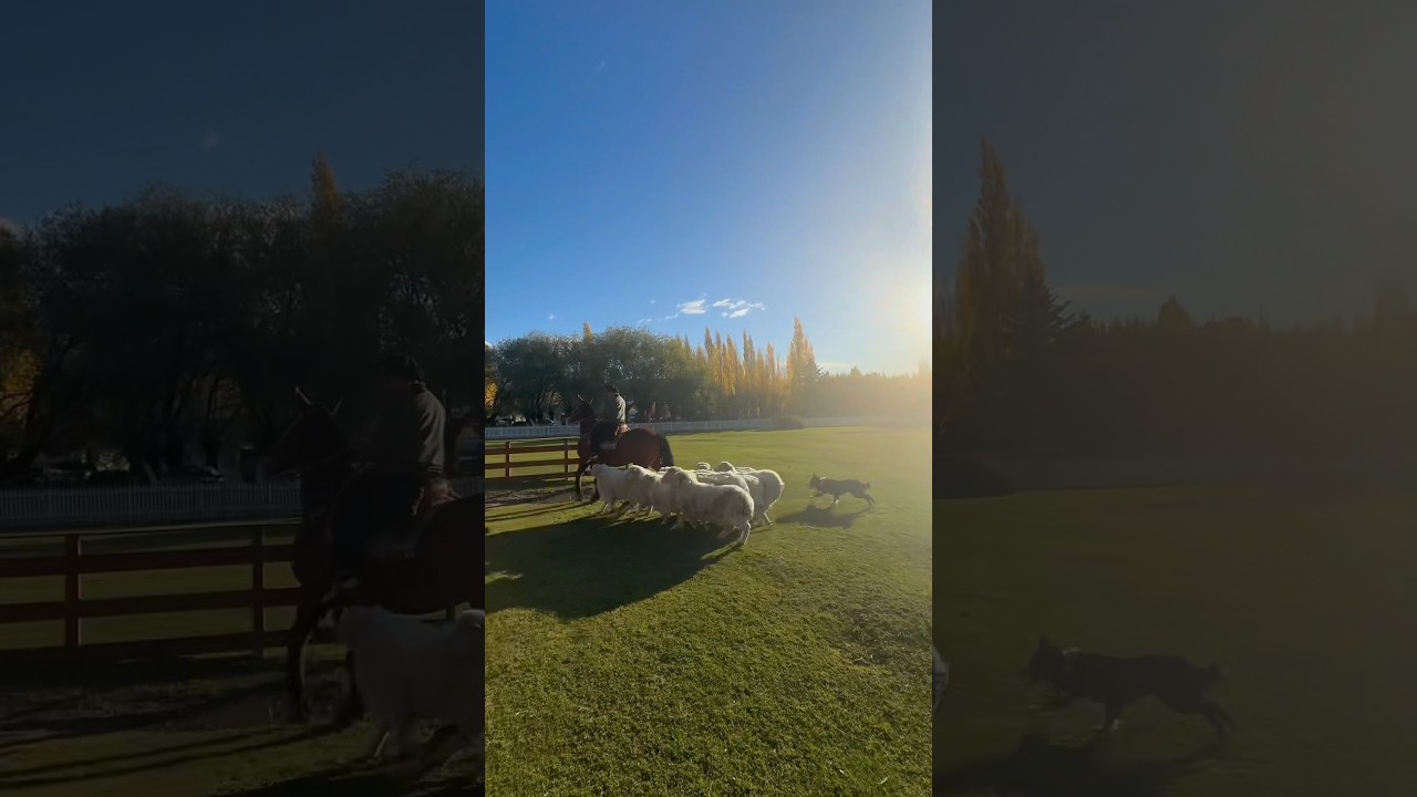 Estancia 25 de Mayo
